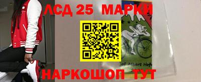 гашик Кулебаки