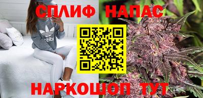 гашик Кулебаки