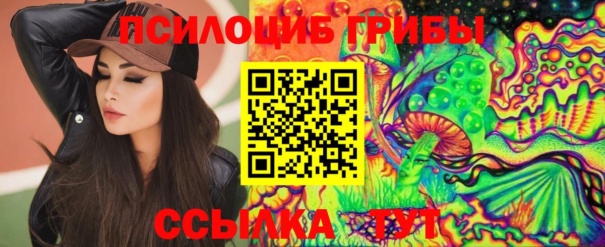 Псилоцибиновые грибы Psilocybine cubensis Ишимбай
